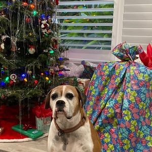 Meet your Posher, Matthew